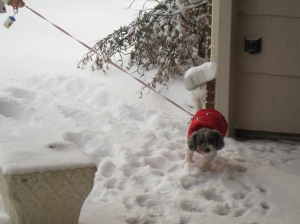 I don't want to go in the snow!